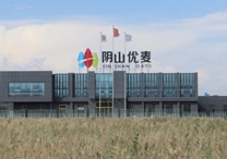 權(quán)威！陰山優(yōu)麥被認(rèn)證為“中國有機(jī)燕麥第 一品牌”